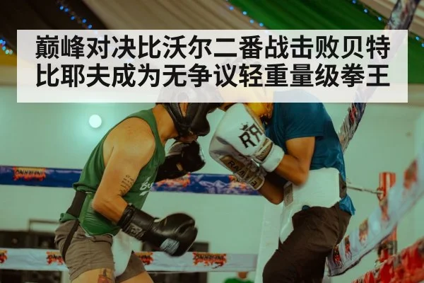 巅峰对决比沃尔二番战击败贝特比耶夫成为无争议轻重量级拳王